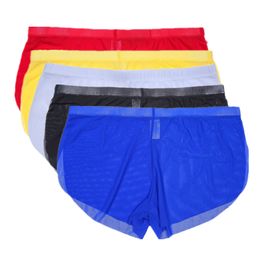 Ropa Interior Sin Costuras Pantalones De Mujer Nylon Slim G Ropa Interior Sin Costuras Pantalones De Mujer Nylon Slim G