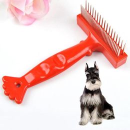 Short Hair Cats Online Shopping Short Hair Cats For Sale