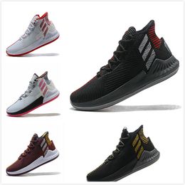 derrick rose shoes low cut