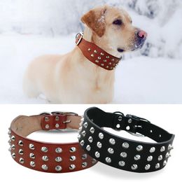 Colliers De Chien Boxer Distributeurs En Gros En Ligne