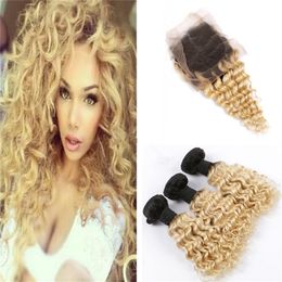 1b 613 Human Hair Online Shopping Human Hair Ombre 1b 613 For Sale
