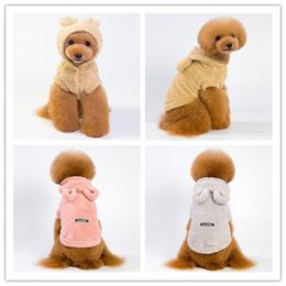 teddy bear dogs online