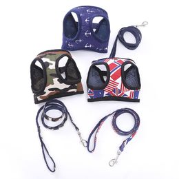 dog leads online