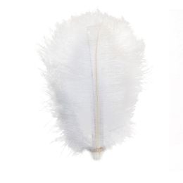 ostrich feathers bulk uk