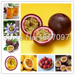 20 PCS Seeds Passion Fruit Bonsai Organic Heirloom Plants NON-GMO Best Quality Y 