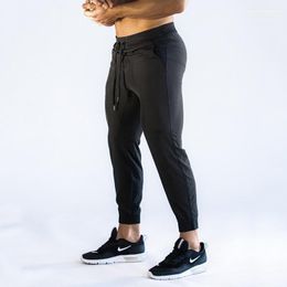 plus size quick dry pants