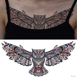 colorful owl art online