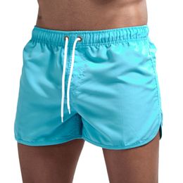 Best mens shorts