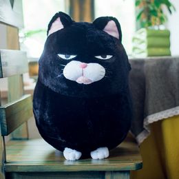 Cuscino Di Peluche Del Gatto Nero Online Cuscino Di Peluche Del