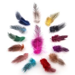 Wholesale 20-100pcs Pretty Natural Pheasant Feathers 2-4 inch/5-10 cm Décoration