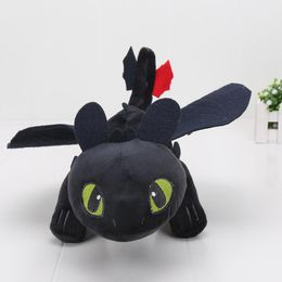 toothless teddy uk