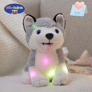 26 cm Toyadores de muñeca Husky de 26 cm Puppy Dog Soft Lading Grey Grey con luces nocturnas LED Cumpleaños para niñas 240416