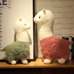 28/38/46/55cm Leuke nieuwe alpaca knuffelpop creatieve net rode explosie pop gevulde dier