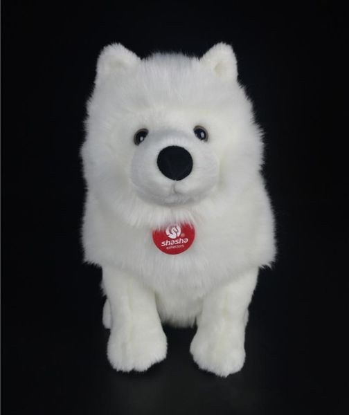 28cm LifeLIKEL SAMOYED TOYS SIMULATION CUPER SIMULATION BLAND PUPPY ANIMAUX PLUSS TOUEUX Cadeaux de Noël d'anniversaire Y2007231375860