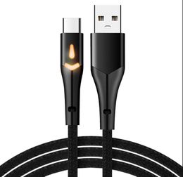 2A Cables LED de carga rápida Tipo c Cables USB micro trenzados 1 m 3 pies Cable de tela para Samsung s10 s20 s21 note 21 htc android phone pc