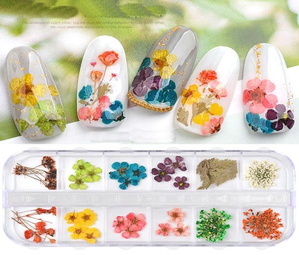 2Boxbag 12Colorsbox Fleurs Sèches Nail Art Décorations 3D Naturel Marguerite Fleur De Soleil Sèche Floral DIY Autocollants Manucure Summer Design 4491437