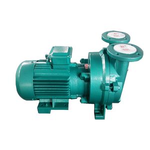 2BV -serie Waterring Vacuümpomp 2BV5110 4KW met schroefdraadzuig- en uitlaatpoorten, neem dan contact met ons op voor aankoop