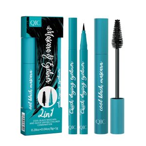 Ensemble de stylo eyeliner 2 en 1 + noir pour les yeux, imperméable, résistant à la sueur, liquide super fin, noir, cosmétique durable et non éblouissant