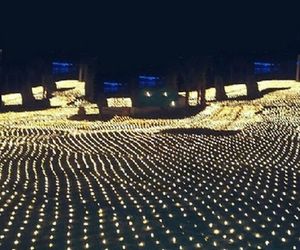 2M * 3M 210 LED Cadena de luz de red de hadas cortina de malla techo jardín planta decoración de Navidad boda lámpara LED 220v enchufe de la UE