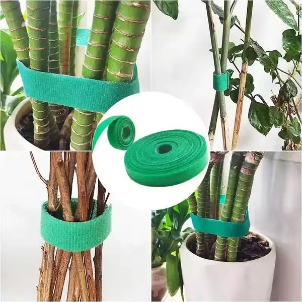 2m Green Garden Twine Plant Embrages Nylon Plant Bandage Garden Loop Bambou Bamboo Cane Enveloppe de soutien Accessoires de jardin