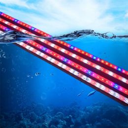 2 pièces DC12V 0 5m 5730 IP68 étanche grandir lumière barre de LED bande rigide rouge bleu 51 42 pour Aquarium serre plante hydroponique Y20278C