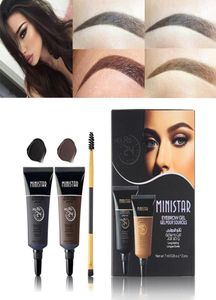 2 STKS Wenkbrauw Schaduwen Pigmenten Zwart Bruin Henna Wenkbrauw Gel Langdurige Eye Brow Tattoo Crème Wenkbrauwen Enhancer Kits met Borstel5171276