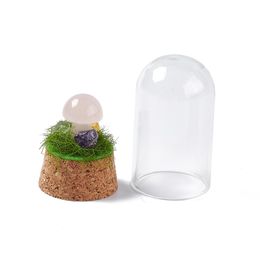 2pcs Glass Dome Cloche Cover Wottles with Stone Mushroom Dispus de base en bouc