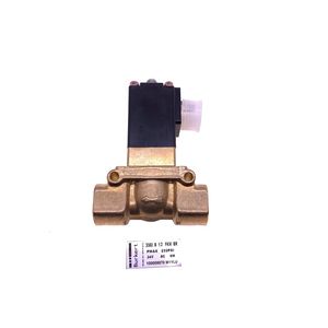 2 stks/ lot Solenoïde klep 100008870/100001307 voor compressoronderdelen van de compair schroef