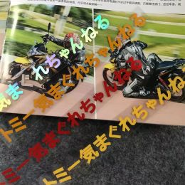 2PCS MOTOCYLEME SECLUS DE BAS SECLACHEMENTS STRIPTION RÉFLACTE STRIPE BILLE Sticker pour Yamaha MT03 MT07 MT09 YZF R1 R3 R6 R15 FZ07