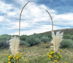 2 pièces un ensemble d'accessoires de mariage en fer forgé, étagère de fond de mariage, arc d'extérieur, décoration de fond de fête à domicile, support de fleurs