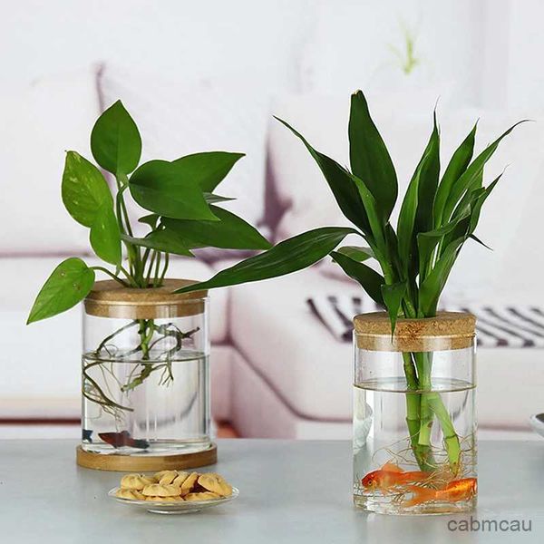 Pot de fleur hydroponique Transparent, 2 pièces, 1 pièce, Imitation verre, plantation hors sol, plante verte en Pot, résine, Vase de maison
