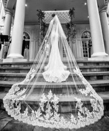 Voile de mariée en dentelle 2T 3M, longueur cathédrale appliquée, blanc ivoire, voile de mariée, cheveux de mariée avec couverture de peigne, Face1108419