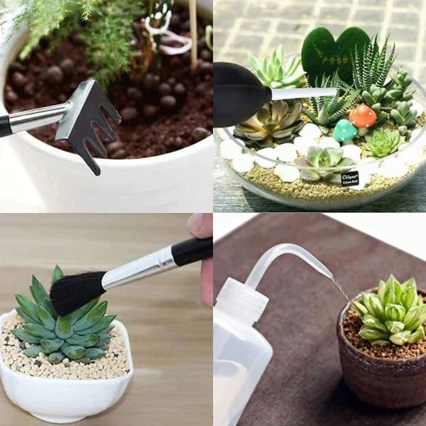 3-15pcs Kit de jardinière de jardin succulent plantation de bricolage outils outils de transplantation