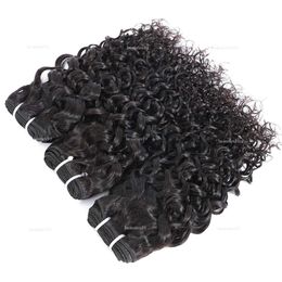 3 paquets Virgin Indian Water Wave Extensions de cheveux humains Gaga Queen