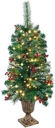 3 FT kerstboom, upgrade voorverlichte Crestwood sparren entreeboom met 100 LED's verlichting, dennenappels, rode bessen in gouden urnbasis voor voorkant