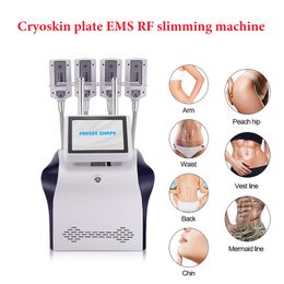 3 In 1 cryoskin Slankmachine Cryo Pad Vet vriesplaat EMS Body Contouring RF Vet Burner Machine