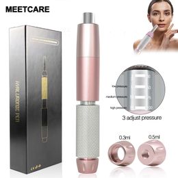 Stylo Hyaluron à 3 niveaux de pression 2 en 1 pistolet de mésothérapie stylo Hyaluron levage des lèvres Anti-rides beauté du visage