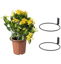 3 Packs Zwart metalen wandmontage bloempot ring muurbeugel pannenlapPlantenbakhaakPlanthangerInklapbare beugel8 inch7913467