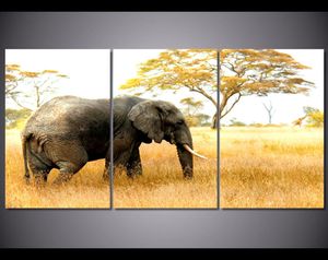 3 Paneel Afrikaans grasland olifant muur kunst canvas schilderij voor woonkamer thuis decor poster afdrukken foto cuadros decorativos8261362