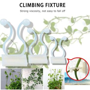 3 taille Invisible rotin pince plante escalade pince vignes luminaire mur collant crochet support jardin fournitures 1 PC C0125