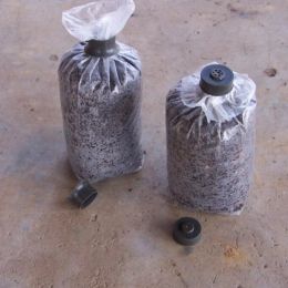 3 tailles PVC Mushroom Spawn Grow Bag Substrat High Temp pré-scelable Supplies Growing Planting Sacs Tools