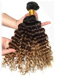 3 Tons 1B / 4/27 # Profonde Bouclés Brun Foncé Blonde Bundles De Tissage De Cheveux Humains En Gros Coloré Brésilien Ombre Offres D'extension De Cheveux Humains