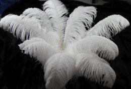 30-35cm Mooie Struisvogelveren voor DIY Sieraden Craft Maken Bruiloft Decor Accessoires Bruiloft Decoratie
