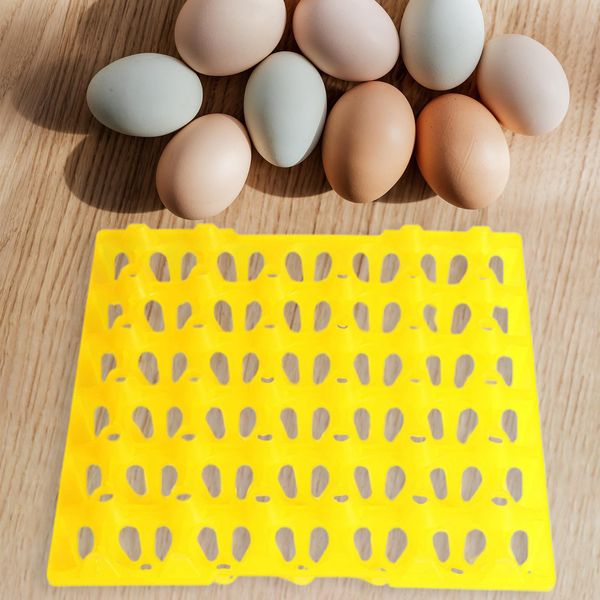 30 huevos celulares Bandeja de huevo transpirable Bandeja de huevo Bandeja de huevo Caja de recambio Herramientas de transporte Equipo de aves de corral
