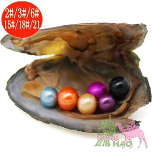 30 stuks shwater shell parel oester individueel vacuüm verpakt 6 parels parel mysterieuze verrassing liefdeswens parel cadeau voor meisjes