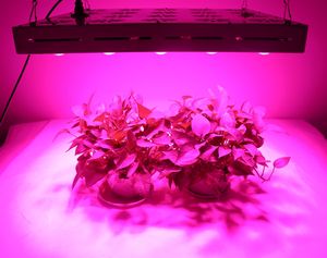 3000W LED élèvent la lampe de culture de spectre complet de lumière pour les plantes d'intérieur hydroponiques de serre légumes et fleurs AC110V AC220V