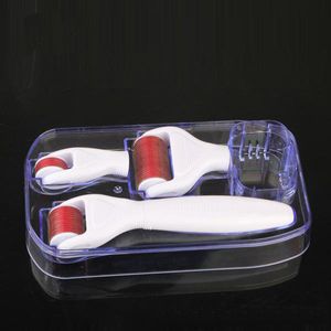 Sterilisierte Nadel großhandel-Niedrigster Preis Hautpflege Nadeln mit Sterilisator Mikronadeln Dermarollen in Dermaroller