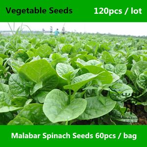 Basella Alba Malabar Espinafre sementes para plantar 120 pcs, sementes de vegetais de folha de espinafre de búfalo, mini jardim Ceilão sementes de espinafre