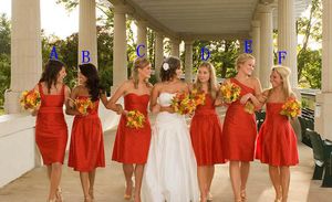 2019 Günstiger heißer Verkauf sechs Stile Brautjungfernkleid knielang Garten formelle Hochzeitsfeier Gast Trauzeugin Kleid Plus Size nach Maß
