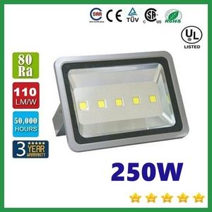 Ücretsiz Shippi 250 W Led Projektörler Su Geçirmez Açık Led Gölgelik Işıkları Benzin Istasyonu Aydınlatma Led Sel Işıkları AC 85-265 V